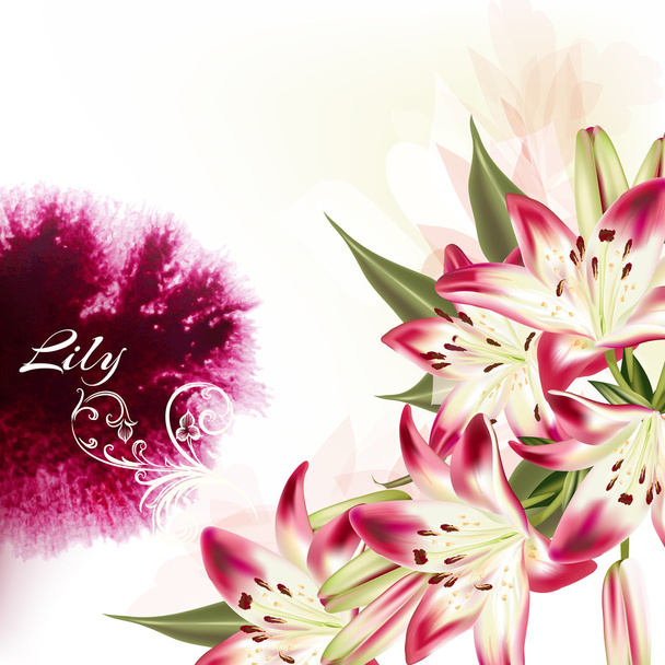 Иллюстрация или фон с розовыми цветами лилии и акварелью
 - Вектор,изображение