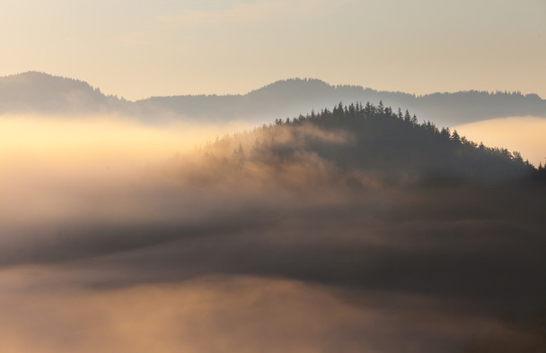 Hermoso amanecer con la niebla de la mañana
 - Foto, Imagen