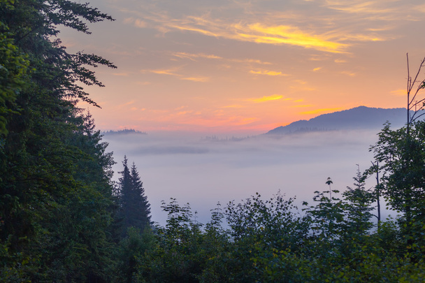 Beautiful sunrise with the morning mist - Foto, immagini