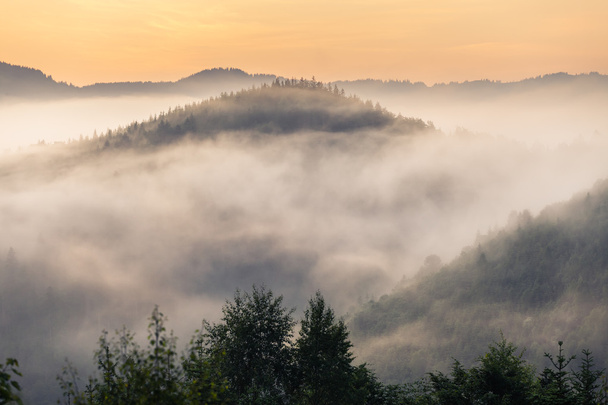 Hermoso amanecer con la niebla de la mañana
 - Foto, Imagen