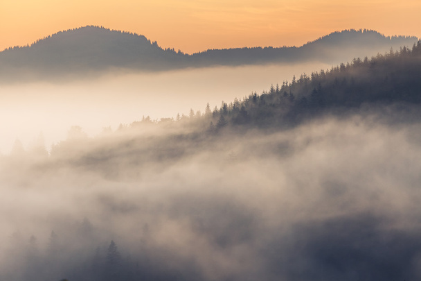 Belo nascer do sol com a névoa da manhã
 - Foto, Imagem