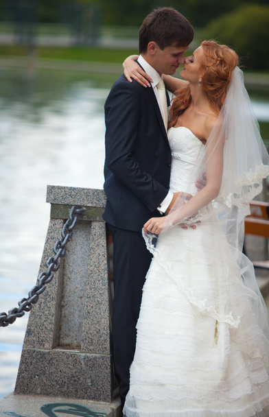 bruiloft, bruid en bruidegom, liefde - Foto, afbeelding