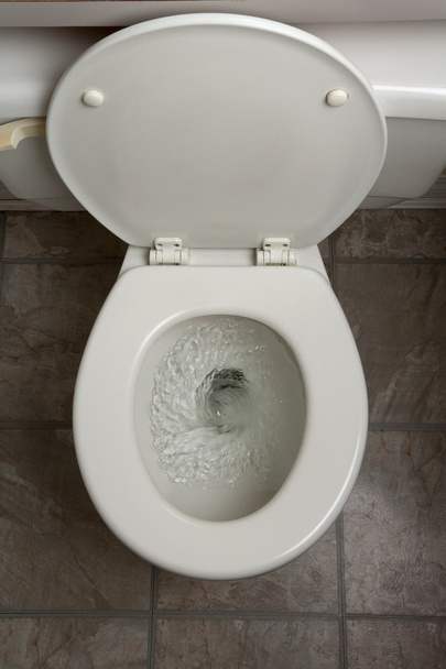 Toilet - Фото, зображення