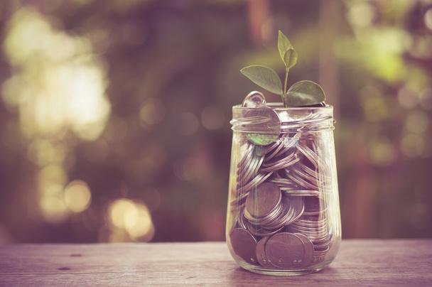 plant growing out of coins with filter effect retro vintage styl - Photo, Image