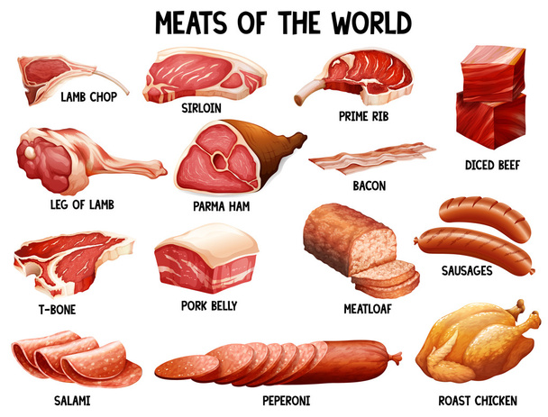 Meat of the world - Vector, Image