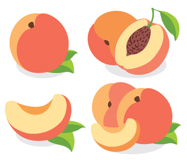 Vector peaches - Vector, Image