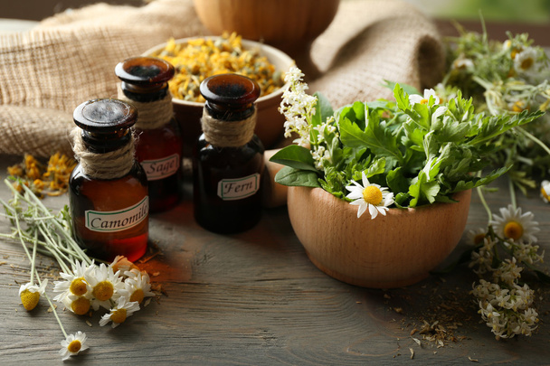 Herbs, berries and flowers - Photo, Image