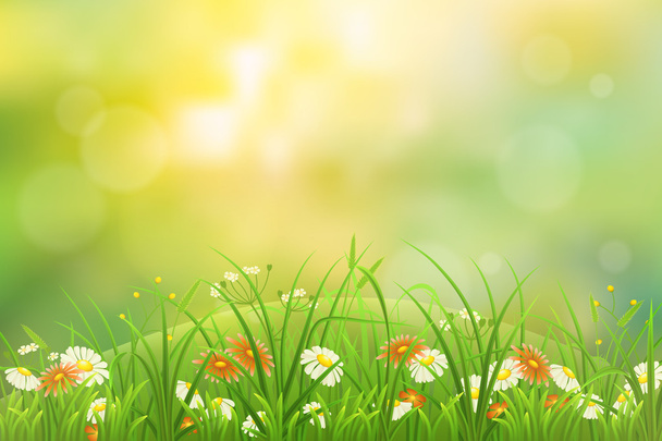 Grass nature background - Vector, Image