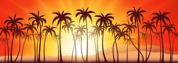 Palms grove sunset - Vector, Image