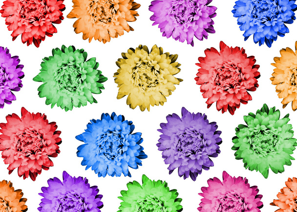 Pattern with flowers isolated. - Photo, Image