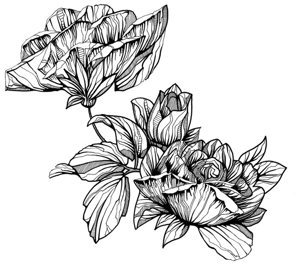 fekete-fehér, kézzel festett grafikus virágok - Fotó, kép