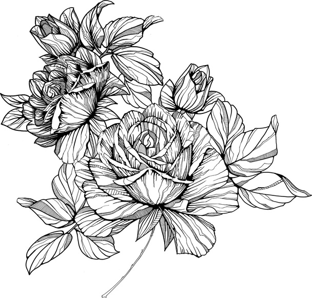 black and white hand painted graphic flowers - Photo, Image