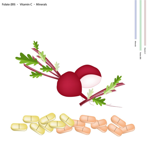Rode biet met vitamine C, B9 en mineralen - Vector, afbeelding