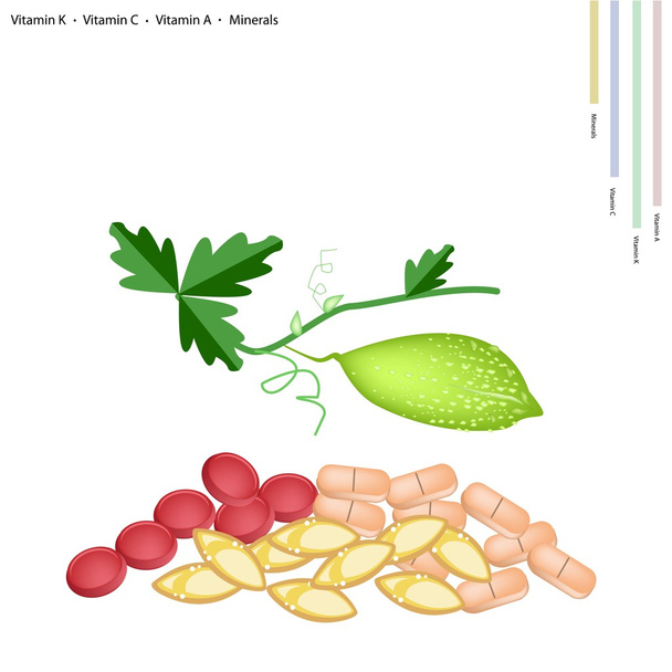 Balsam Pear met vitamine K, C, A en mineralen - Vector, afbeelding