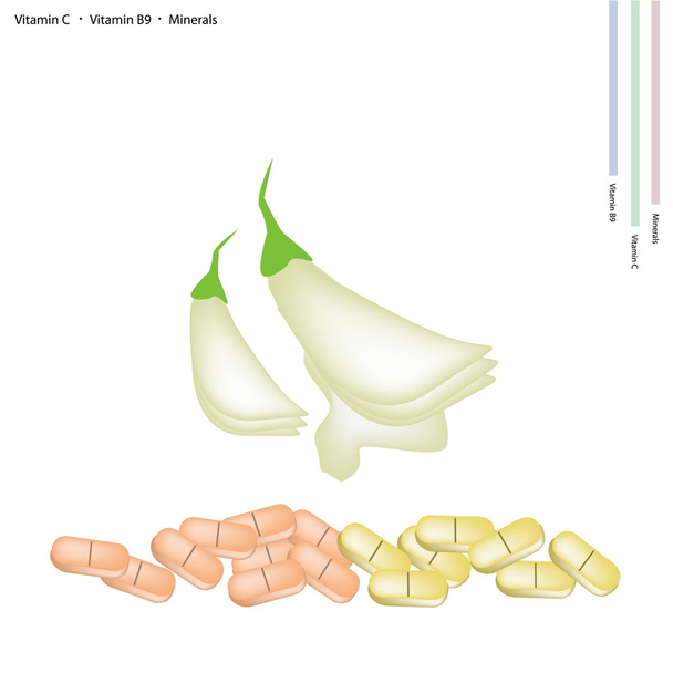 Sesban Agasta branco com vitamina C e B9
 - Vetor, Imagem