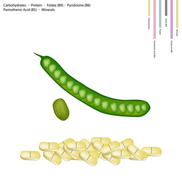 Fresh Twisted Cluster Bean with Vitamin B9, B6 and B5 - Vector, Image