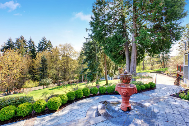 Prachtige achtertuin met patio met inbegrip van elegante fontein en gre - Foto, afbeelding