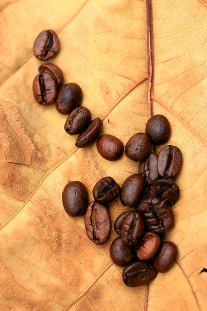 Grãos de café - Foto, Imagem