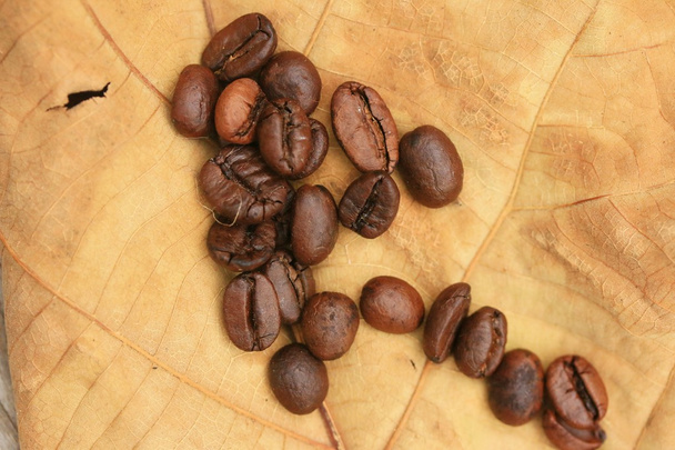 コーヒー豆 - 写真・画像
