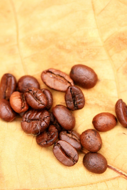 Kávébab - Fotó, kép