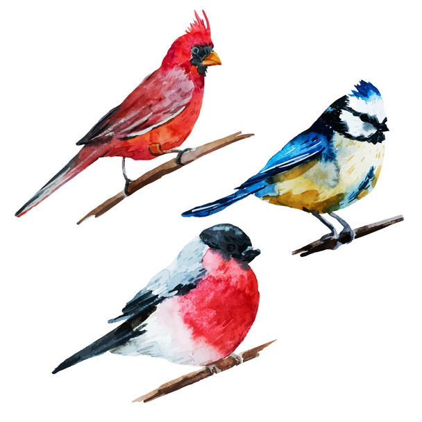 Watercolor birds - Διάνυσμα, εικόνα