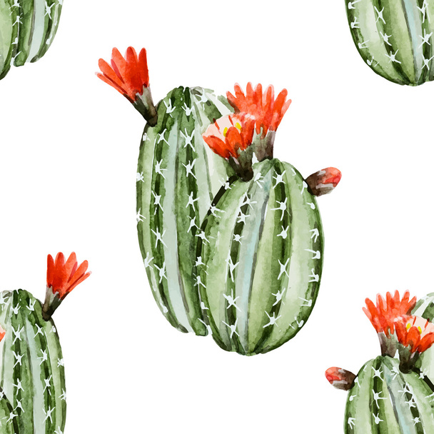 Watercolor cactus pattern - Vector, afbeelding