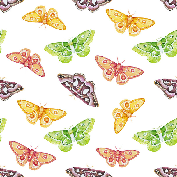 Modèle de papillons aquarelle
 - Vecteur, image