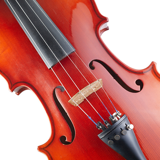 Скрипка на белом
 - Фото, изображение