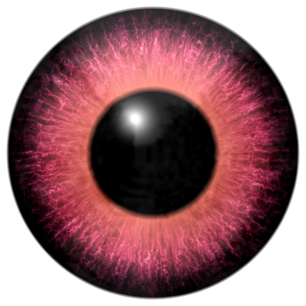Detail van oog met rood gekleurde iris en zwarte leerling - Foto, afbeelding
