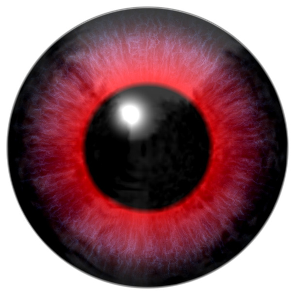 Detalle del ojo con iris de color rojo y pupila negra
 - Foto, Imagen