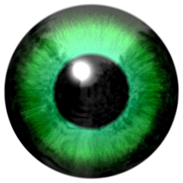 Detail des Auges mit hellgrüner Iris und schwarzer Pupille - Foto, Bild