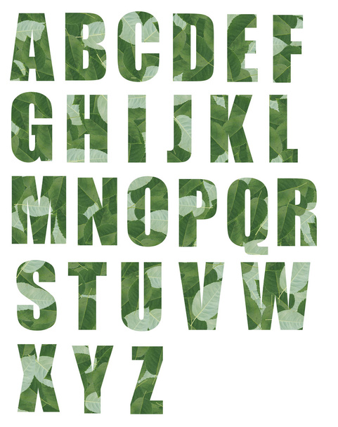 ALL font made from leaf tiles - Zdjęcie, obraz