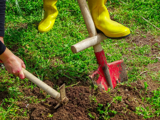 Копання з лопатою і мотузкою в саду
 - Фото, зображення