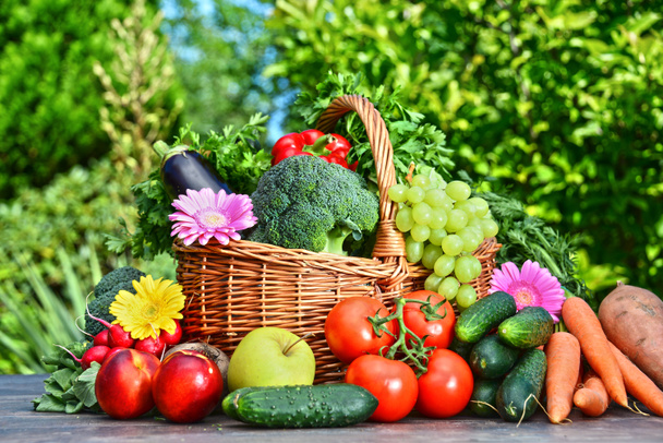 Variety of fresh organic vegetables and fruits in the garden - Photo, Image