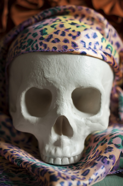 Крутой череп
 - Фото, изображение