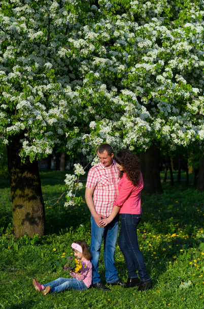 Rodinný rodiče a dcera na procházce v parku - Fotografie, Obrázek