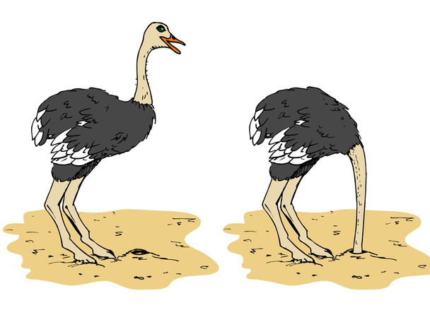 Cartoon struisvogel met hoofd onder het zand - Vector, afbeelding