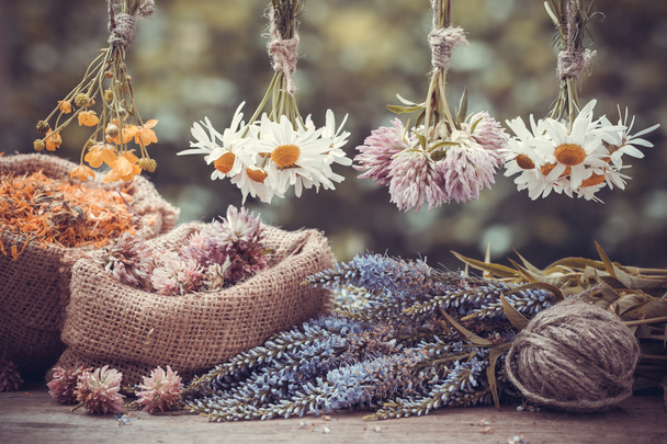 Healing herbs bunches and hessian bags with dried marigold, clov - Fotoğraf, Görsel