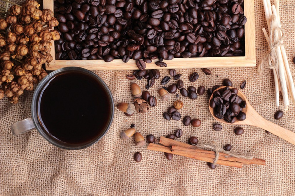 Roasted coffee beans with hot coffee - Foto, immagini