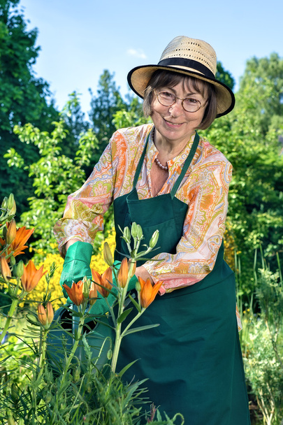 Senior Woman watering flowers - Photo, image