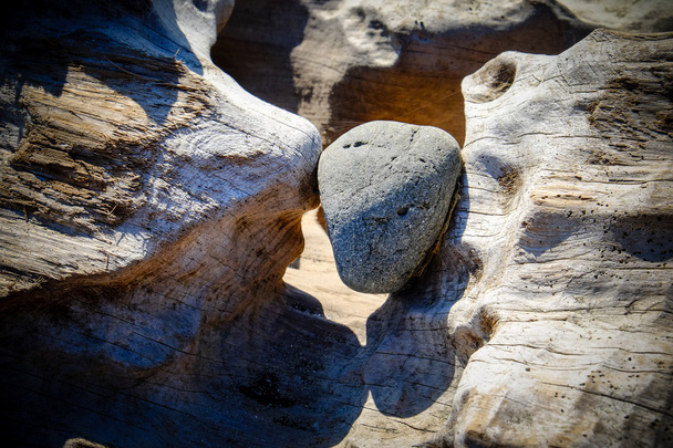 piedra pellizcada en madera de deriva
 - Foto, imagen