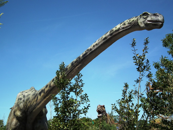 dinosauriërs - Foto, afbeelding