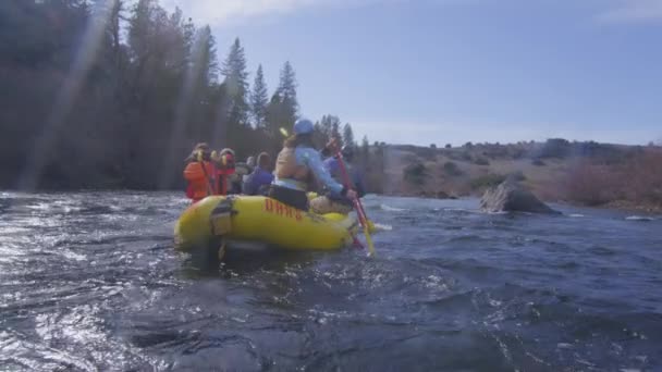 Rafters paddle down river - Footage, Video