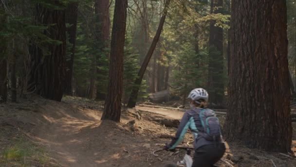 A mountain biker rides in a forest - Filmati, video