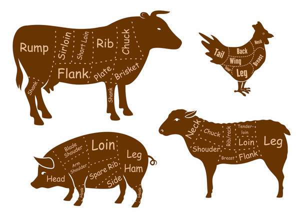 Beef, pork, chicken and lamb meat cuts - Vector, Image