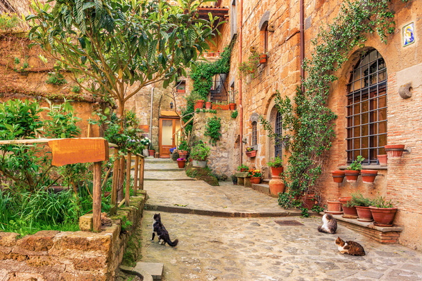 Piękna aleja w starym mieście Tuscany - Zdjęcie, obraz