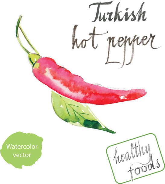 Watercolor turkish hot pepper - Vector, Image
