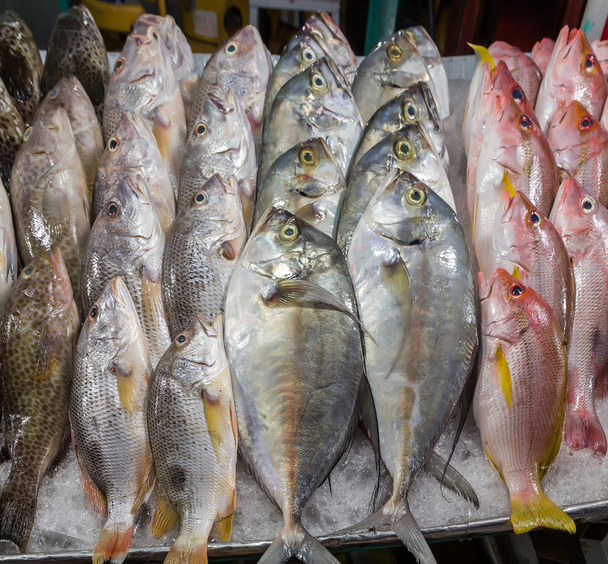 Рыбы морепродукты на рынке
 - Фото, изображение