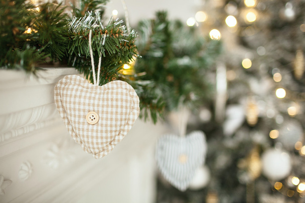 Valentines day toy heart on the tree with a copy space - Фото, изображение