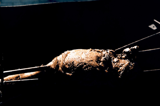 Wieprzowina grillowana - Zdjęcie, obraz
